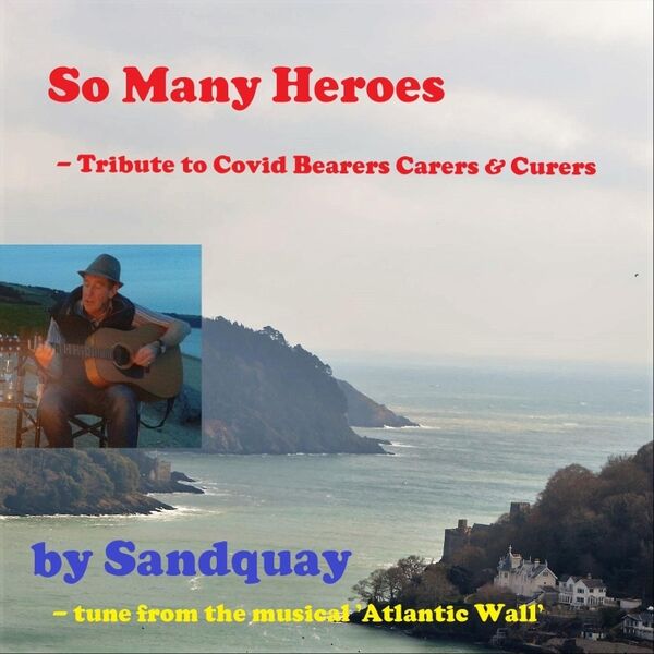 Cover art for So Many Heroes: Tribute to Covid Bearers Carers and Curers